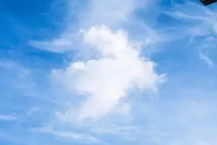 抢了新东方风头的贵学教育是何方神圣？