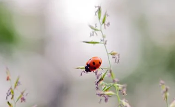 教培业的夏天：疫情背景下培训班热度不减，但腰部及以下机构受冲击